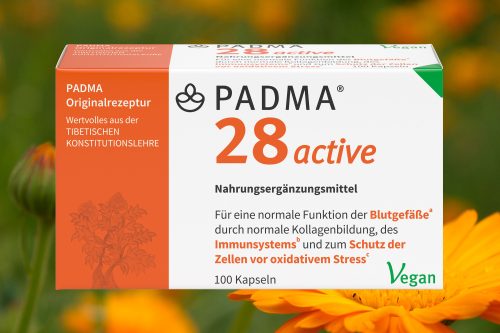PADMA 28 active